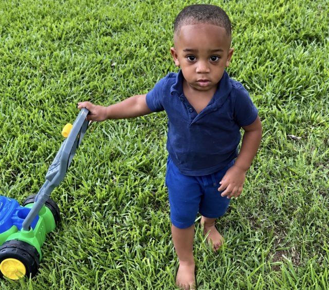 Kohen Wiley